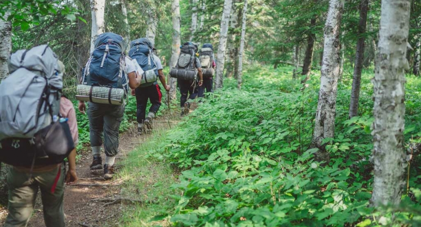 A group of people wearing backpacks hike away from the camera on a trail through a densely wooded area. 